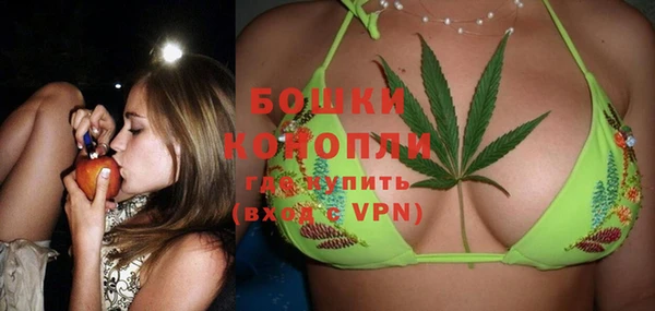 винт Лабытнанги