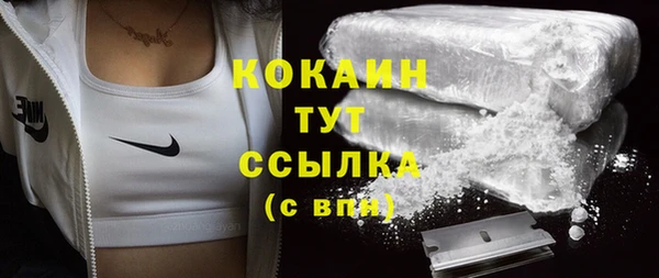винт Лабытнанги