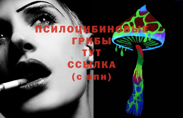 Альфа ПВП Ладушкин